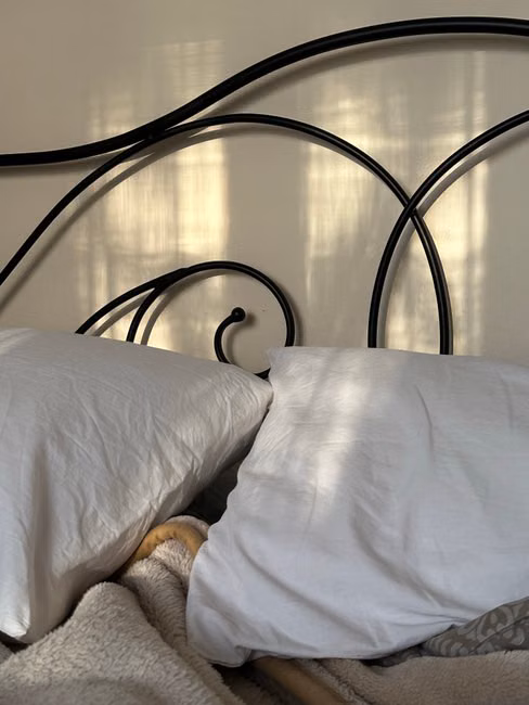Cama
